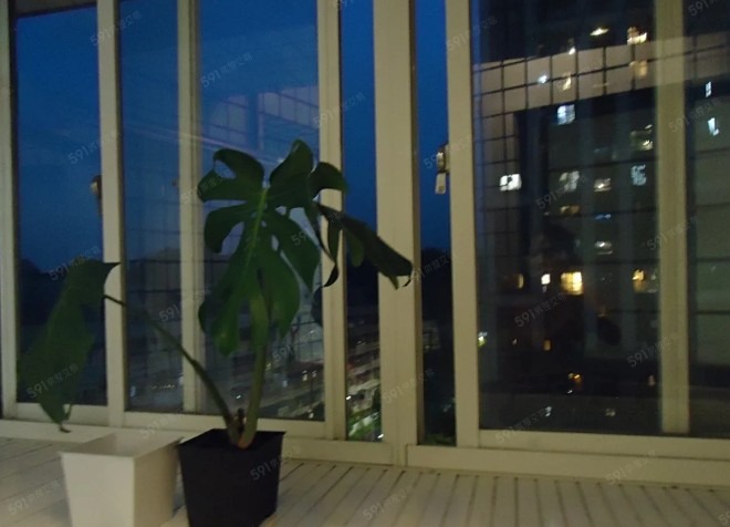 可貓 近景平捷運站 電梯大樓